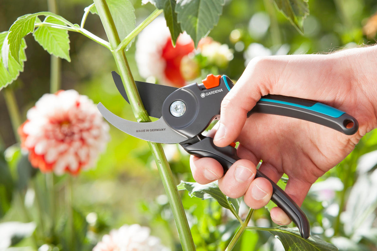 Garden Secateurs B/M, photo 3 of 5