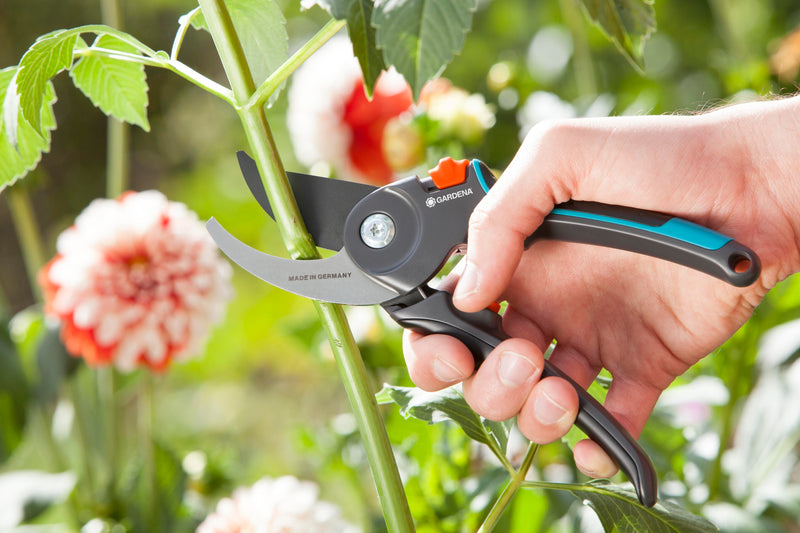 Garden Secateurs B/M, photo 3 of 5