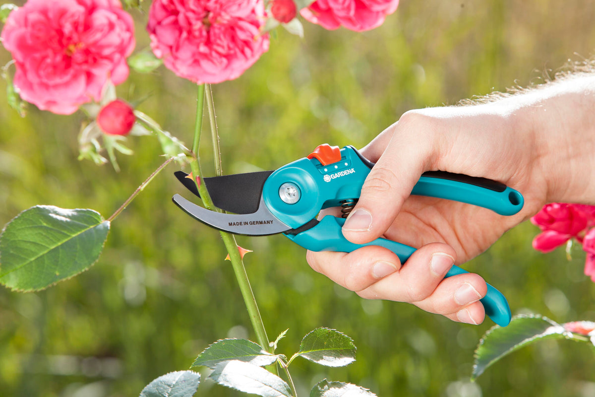 Garden Secateurs B/S-M, photo 2 of 5