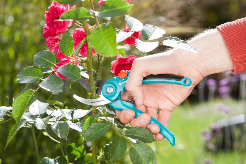 Garden Secateurs B/S-M, photo 4 of 5