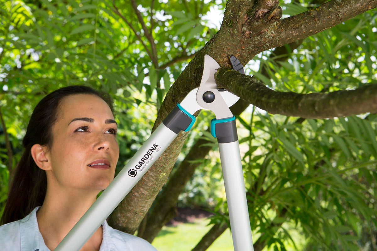Pruning Lopper EasyCut 680 A, photo 2 of 6