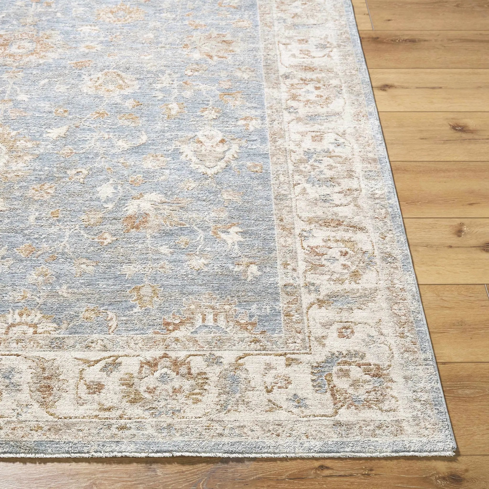 Avivit Sage Area Rug by Boutique Rugs