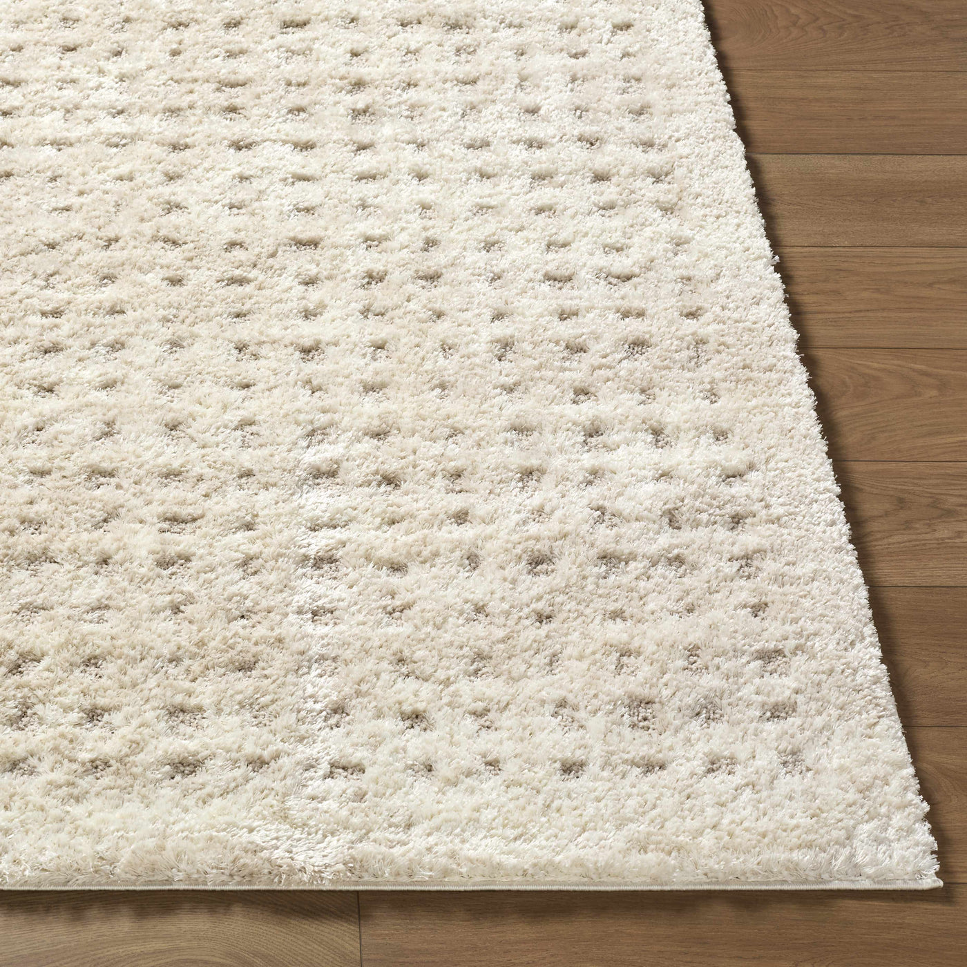 Armand Luxe Shag Rug by Boutique Rugs