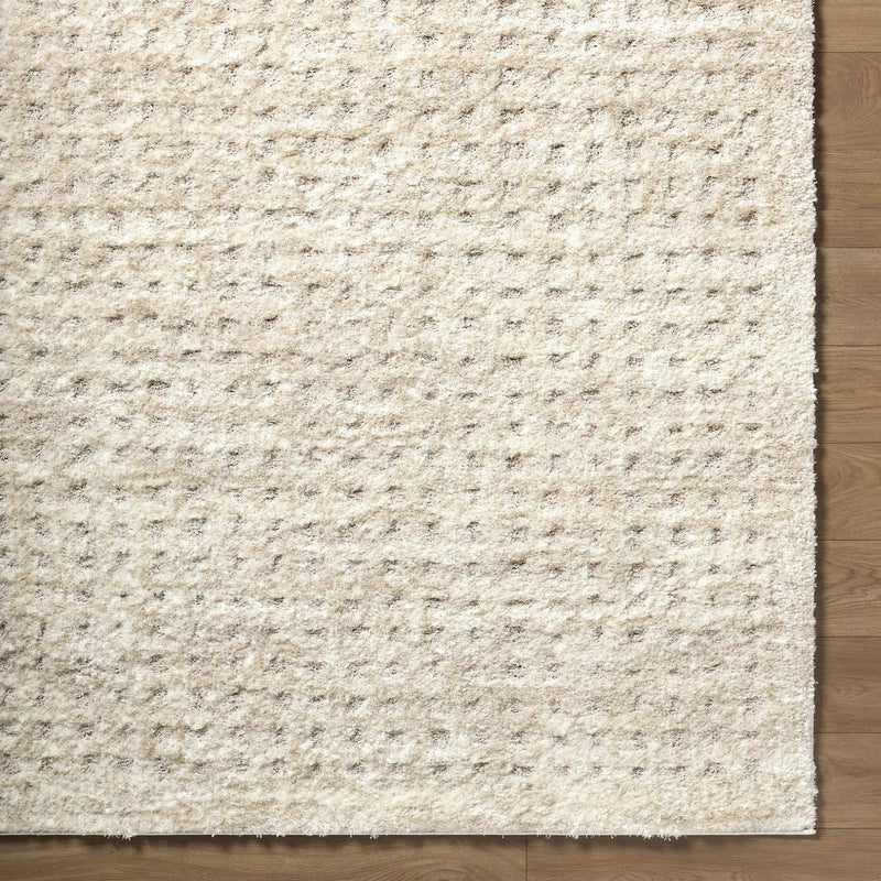Armand Luxe Shag Rug by Boutique Rugs