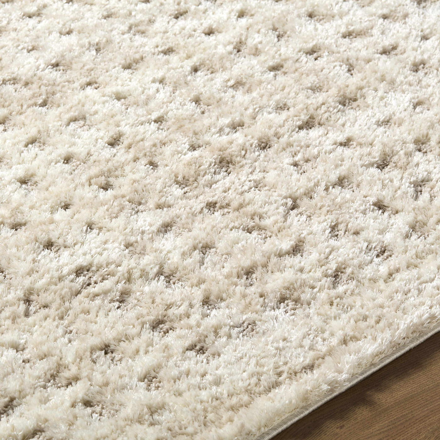 Armand Luxe Shag Rug by Boutique Rugs