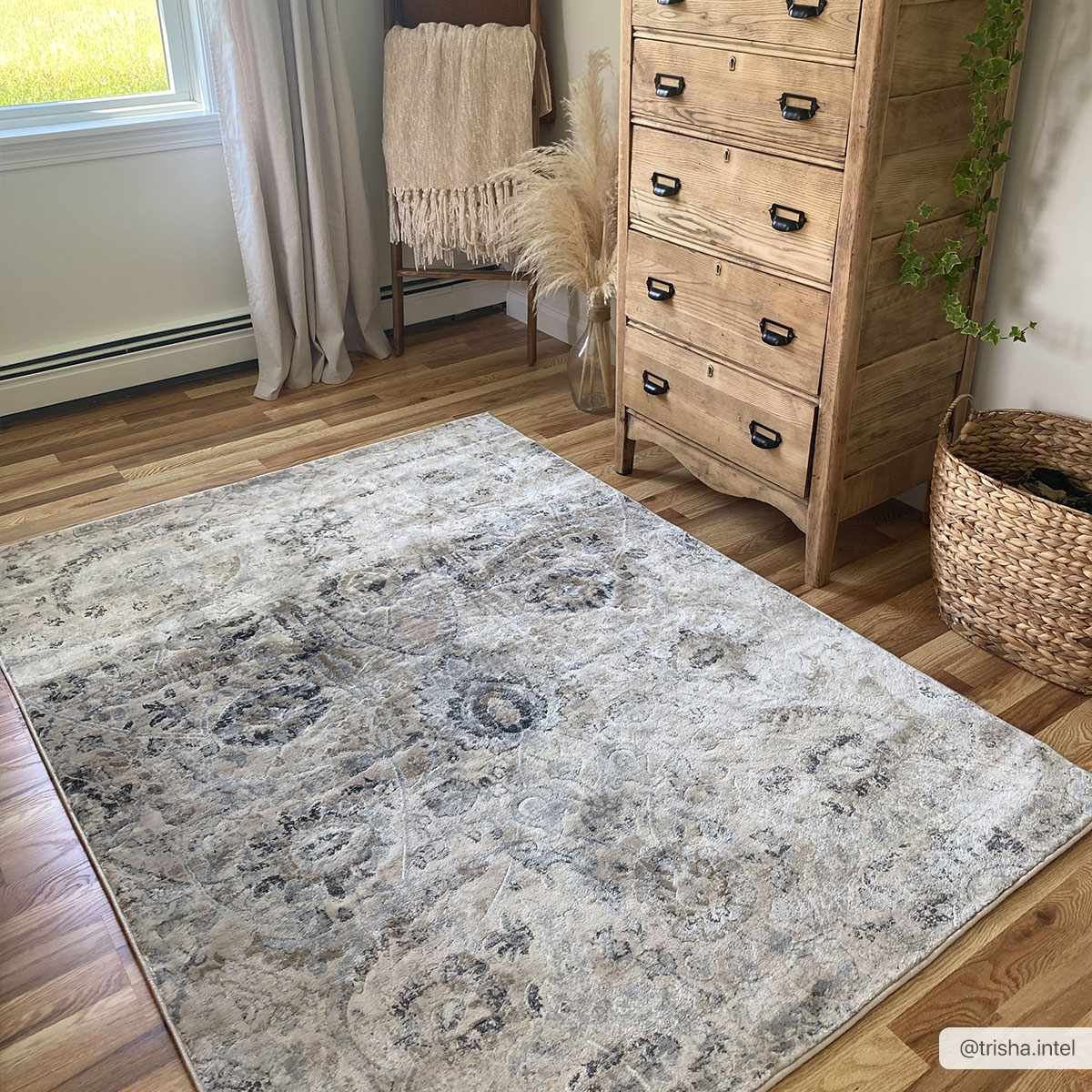 Georgiana Beige Area Rug by Boutique Rugs