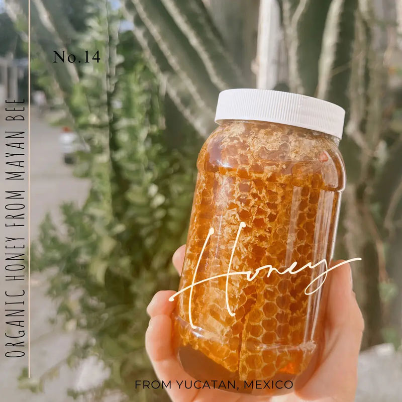 ZEEK MAYAN BEE ORGANIC HONEY HAIR SHAMPOO / 16 OZ BOTTLE by ZEEK