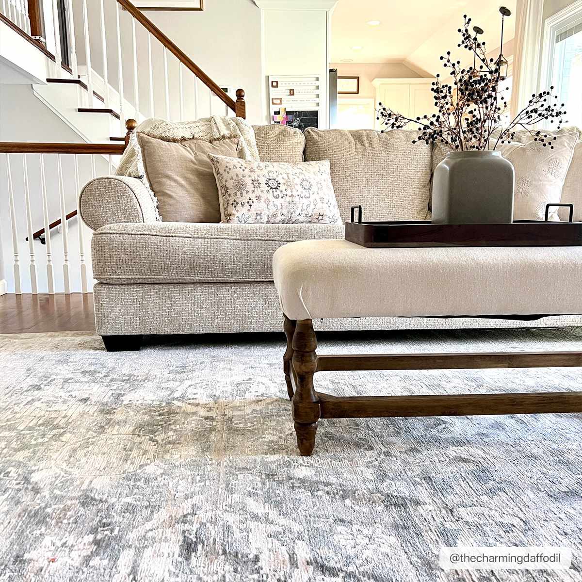 Guiwanon Area Rug - Clearance by Boutique Rugs