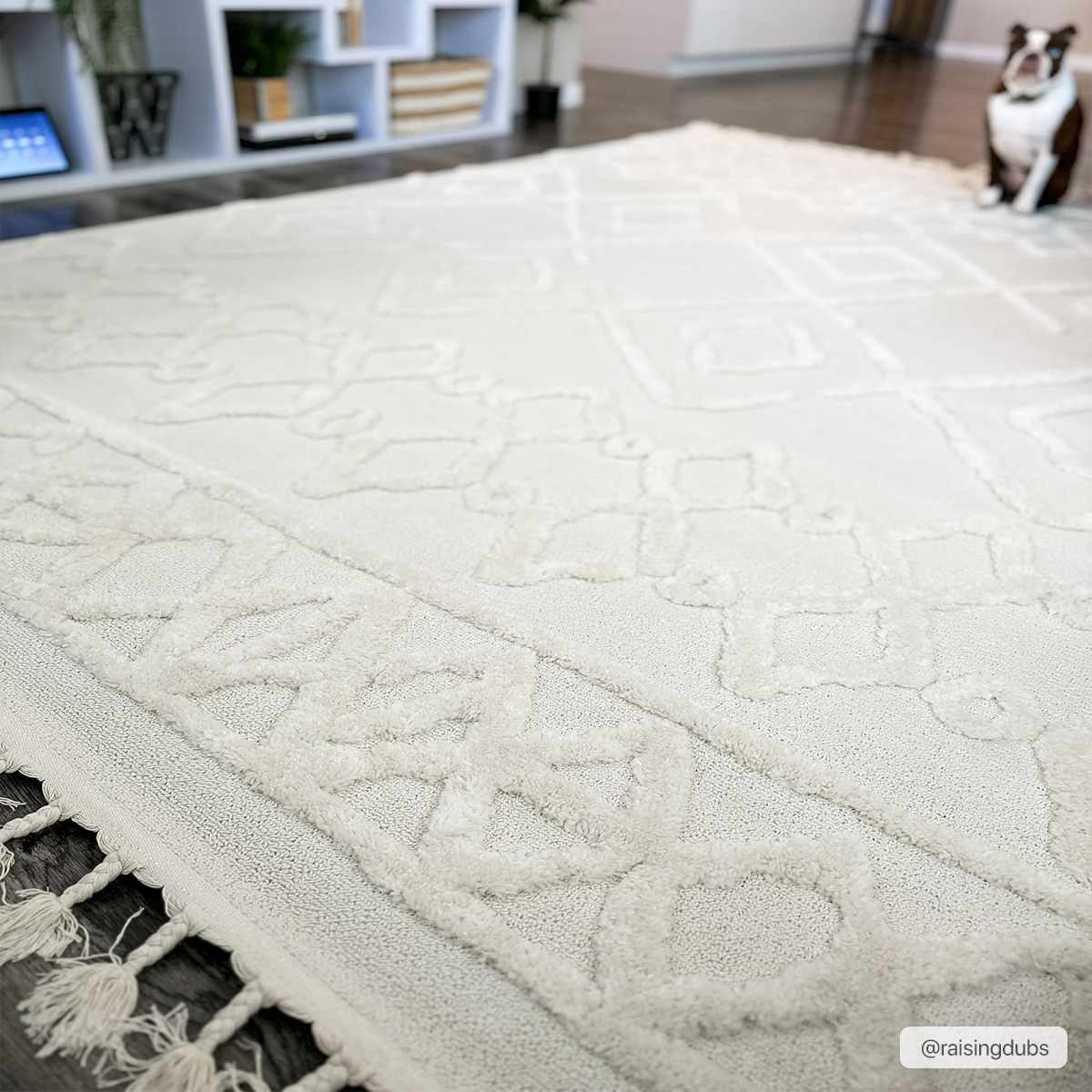 Gyundyukoru Area Rug - Clearance by Boutique Rugs