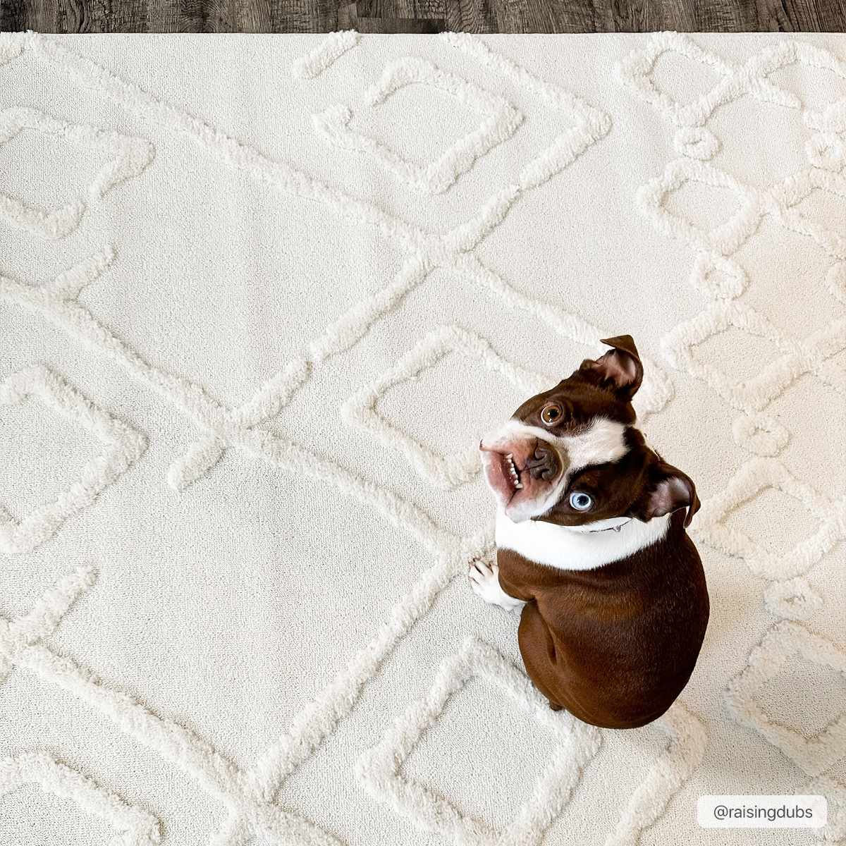 Gyundyukoru Area Rug - Clearance by Boutique Rugs