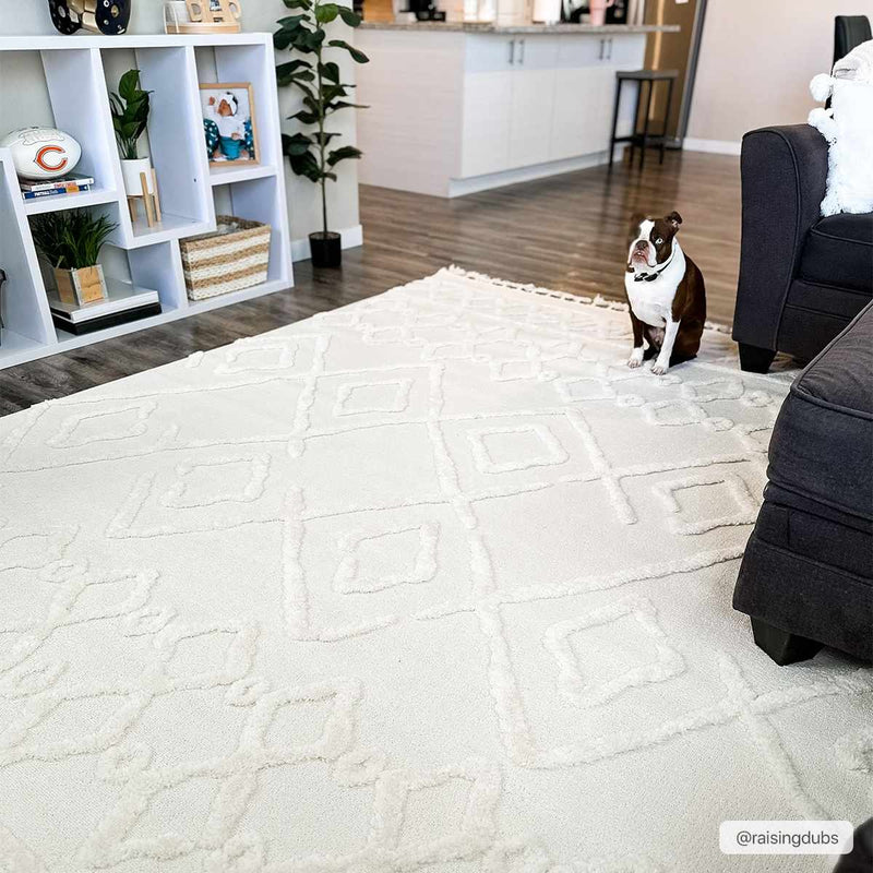 Gyundyukoru Area Rug - Clearance by Boutique Rugs