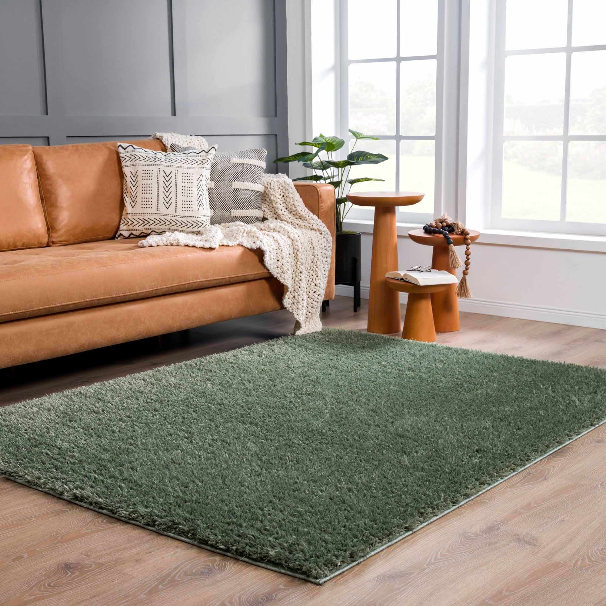 Faina Solid Green Shag Washable Area Rug - Clearance by Boutique Rugs