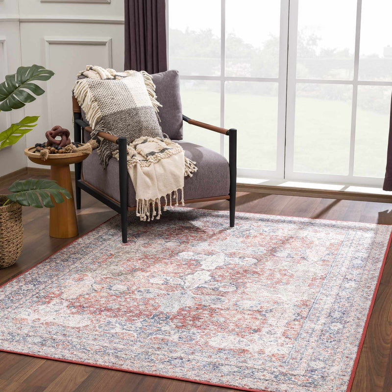 Ambre Washable Area Rug - Clearance by Boutique Rugs