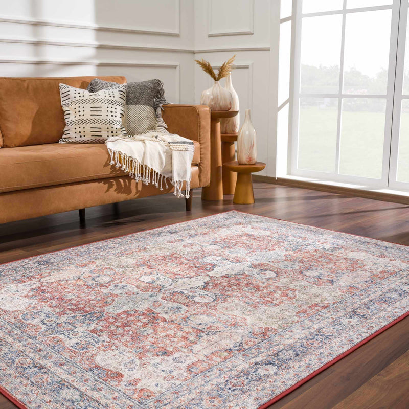 Ambre Washable Area Rug - Clearance by Boutique Rugs