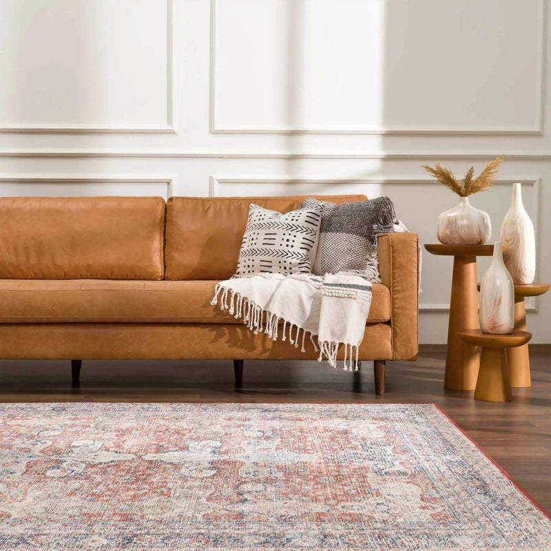 Ambre Washable Area Rug - Clearance by Boutique Rugs