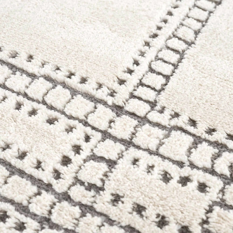 Ryuu Ivory & Gray Area Rug by Boutique Rugs