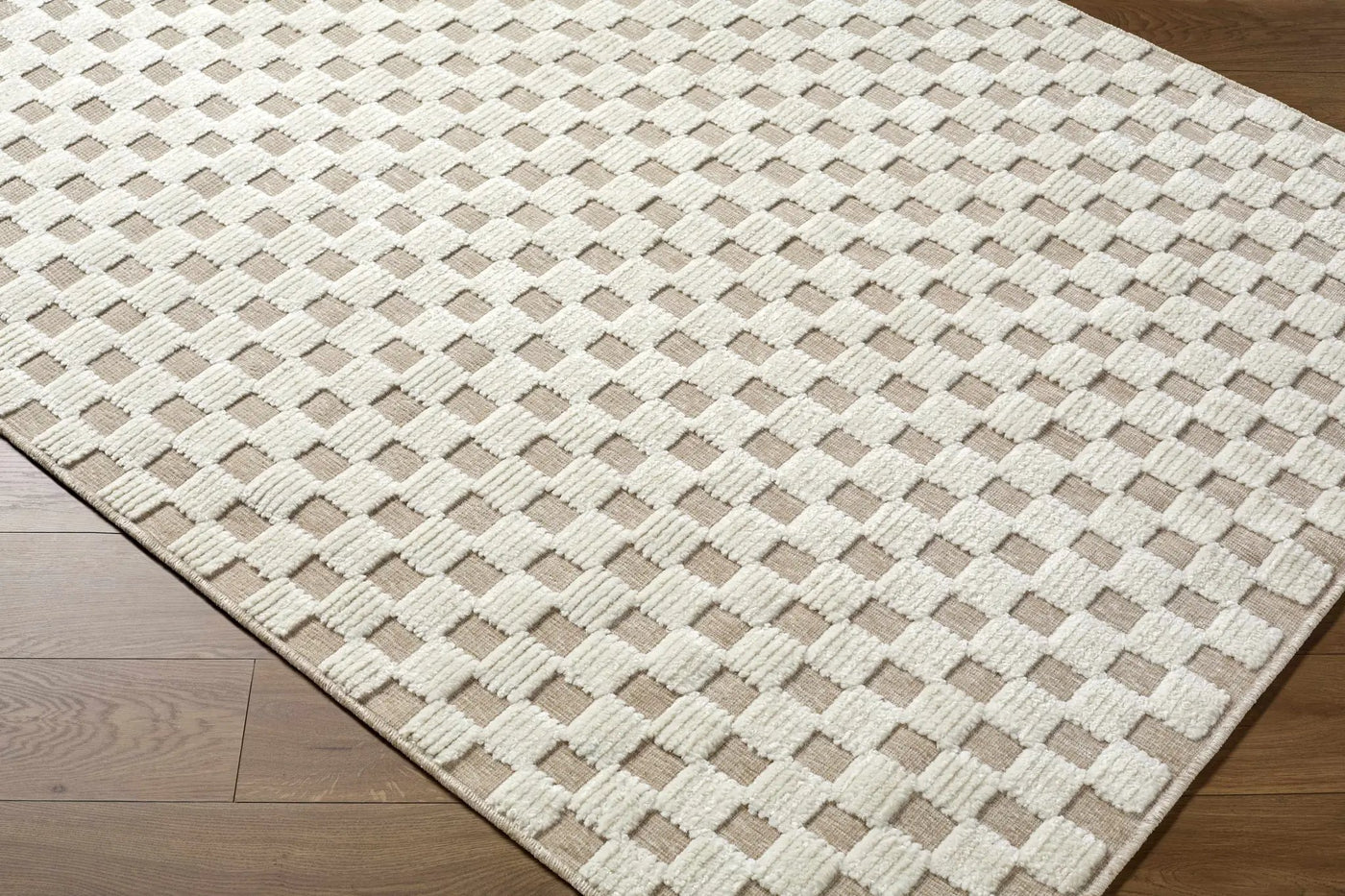 Anthea Light Gray Washable Area Rug by Boutique Rugs