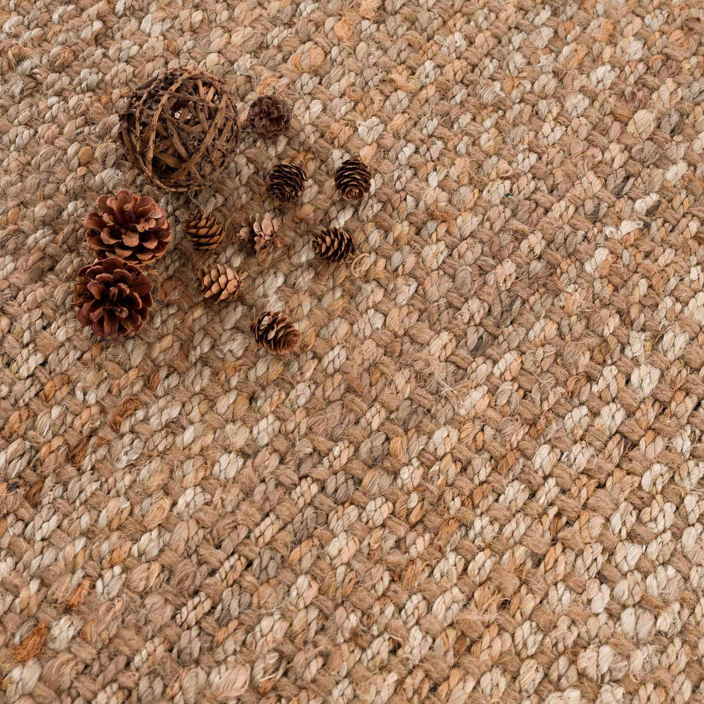 Herndon Braided Jute Rug by Boutique Rugs