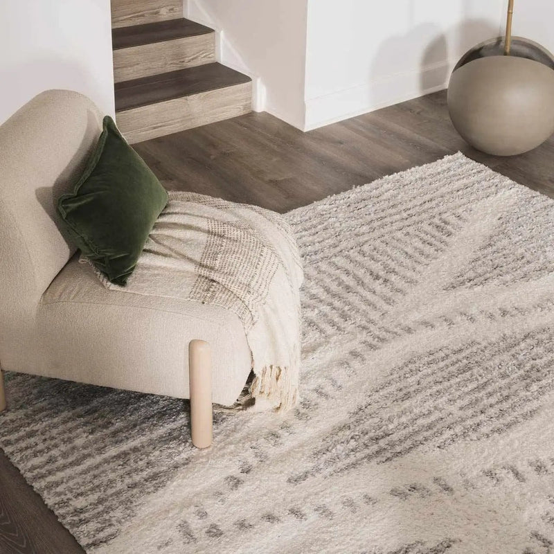 Trunding Plush Area Rug in Gray by Boutique Rugs