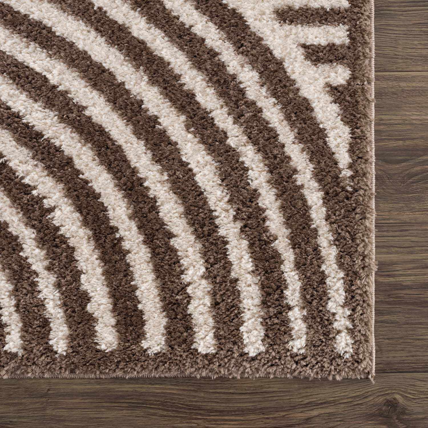 Allard Brown Washable Area Rug by Boutique Rugs