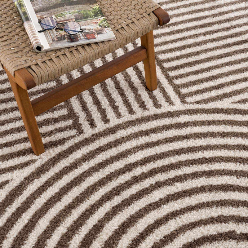 Allard Brown Washable Area Rug by Boutique Rugs