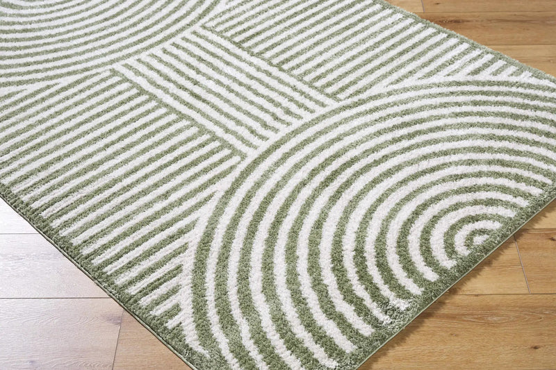 Allard Green Washable Area Rug by Boutique Rugs