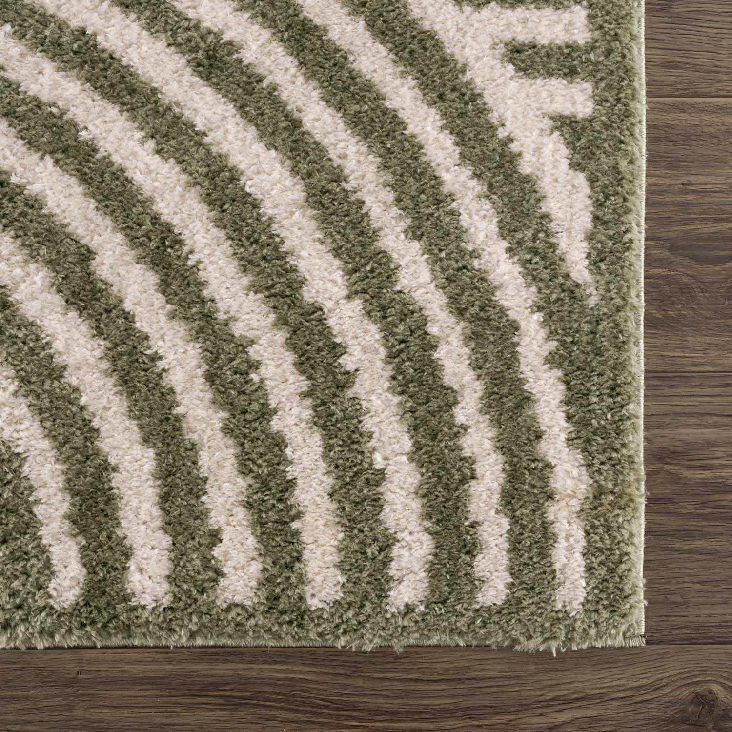 Allard Green Washable Area Rug by Boutique Rugs