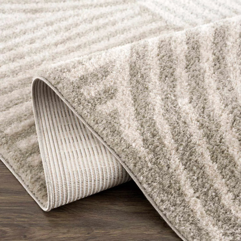 Allard Gray Washable Area Rug by Boutique Rugs