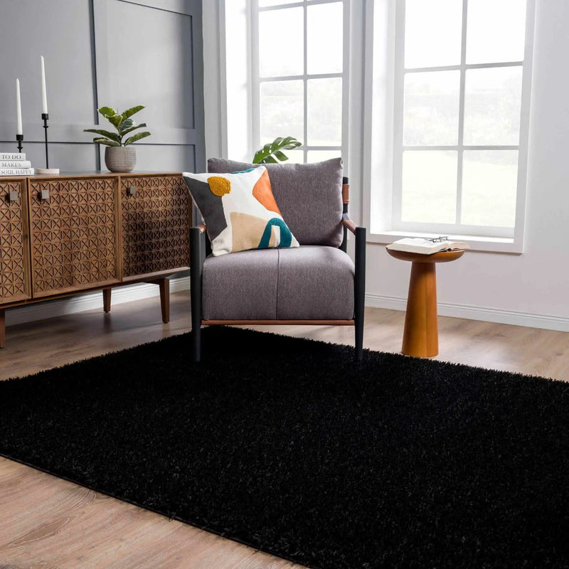 Faina Solid Black Shag Washable Area Rug - Clearance by Boutique Rugs