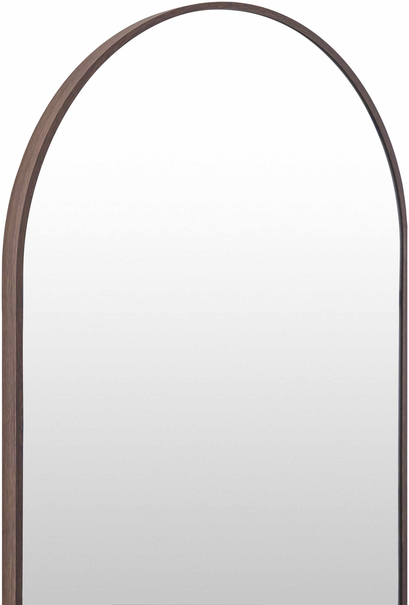 Hagenburg Dark Brown Mirror by Boutique Rugs