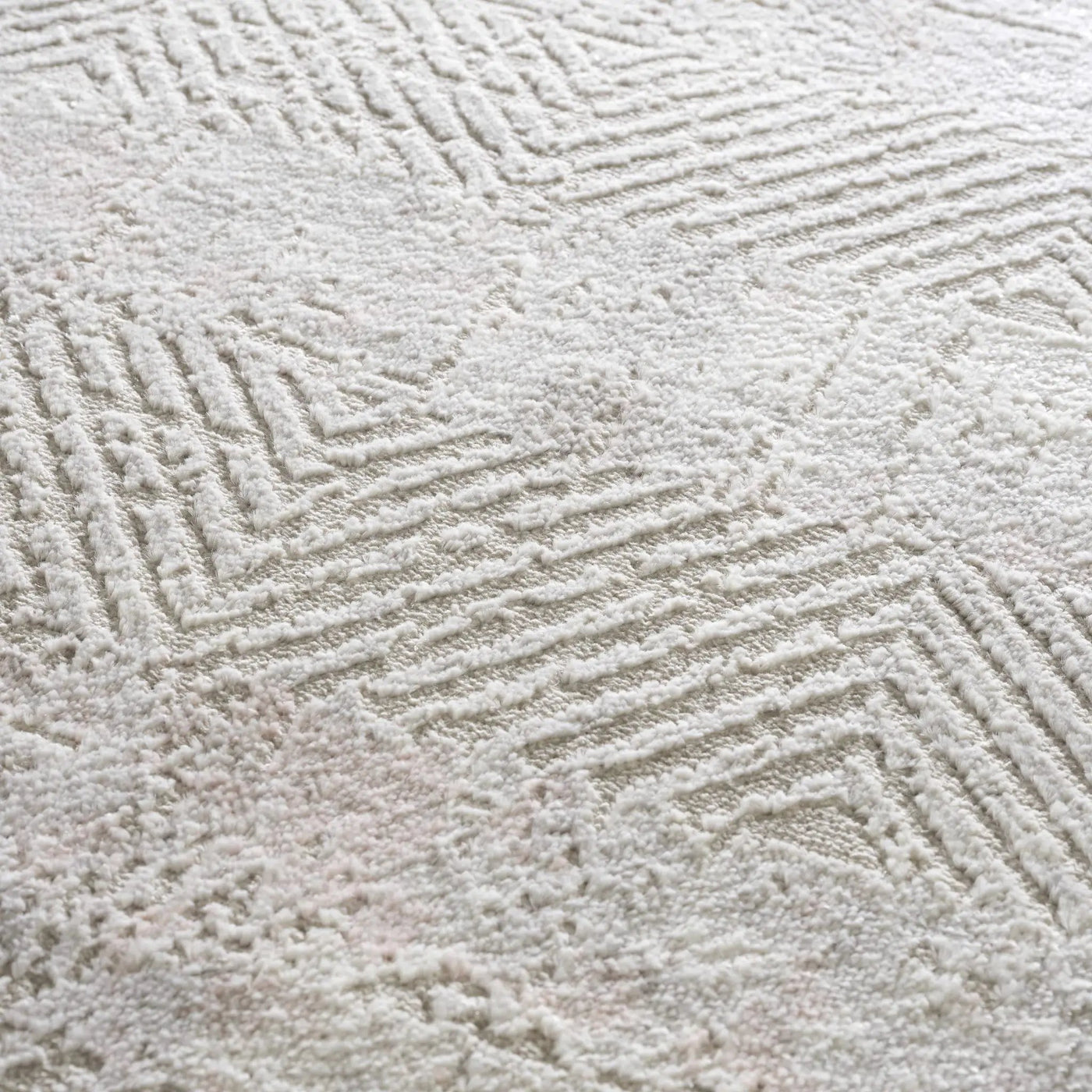 Bucky Area Rug - Clearance by Boutique Rugs