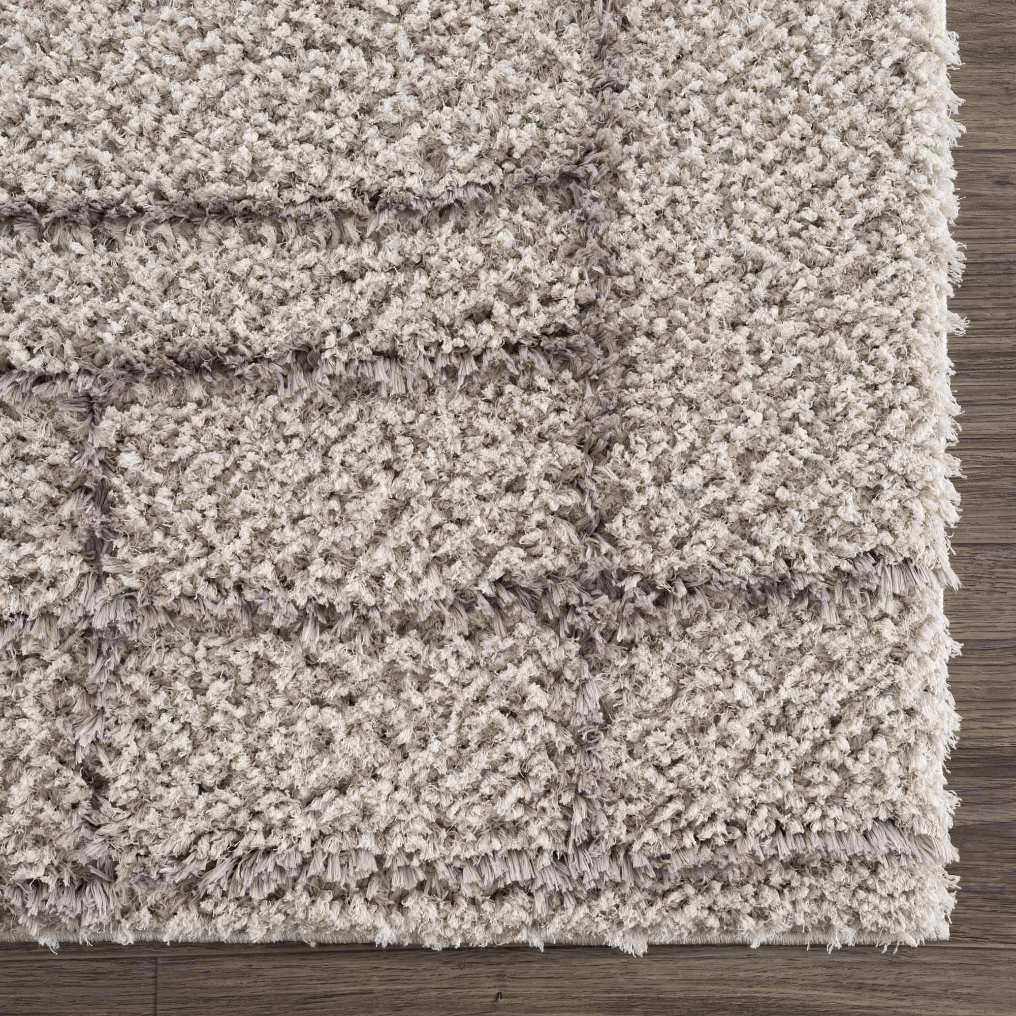 Andia Gray Area Rug - Clearance by Boutique Rugs