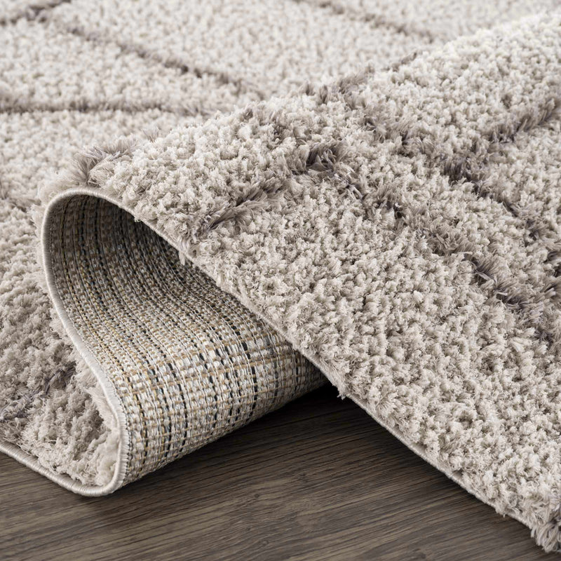 Andia Gray Area Rug - Clearance by Boutique Rugs