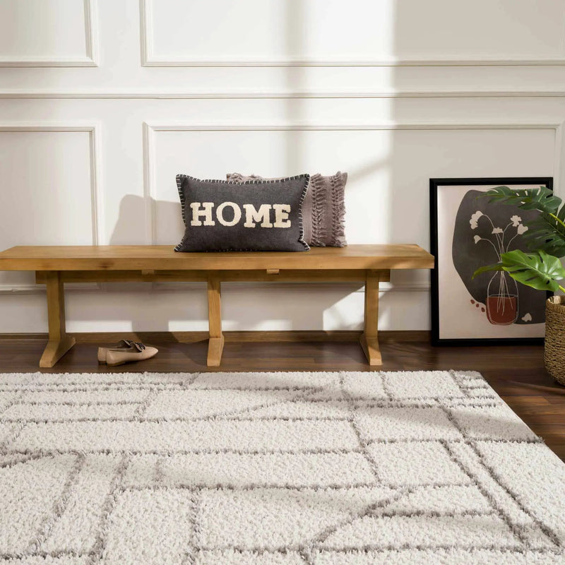 Andia Gray Area Rug - Clearance by Boutique Rugs