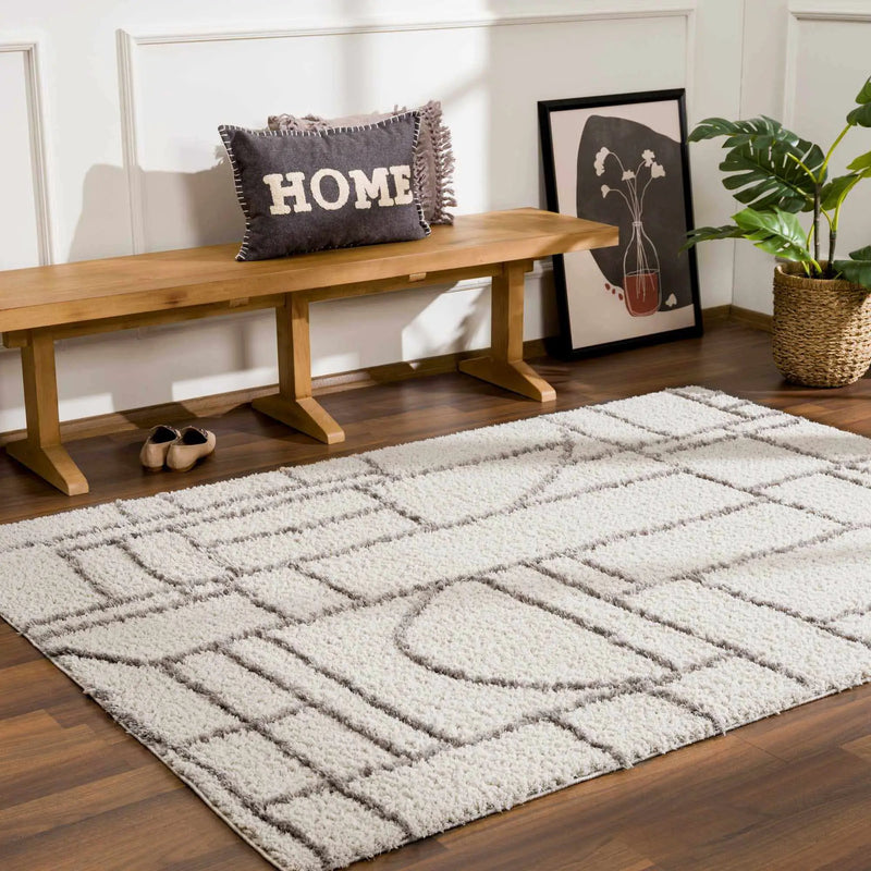 Andia Gray Area Rug - Clearance by Boutique Rugs