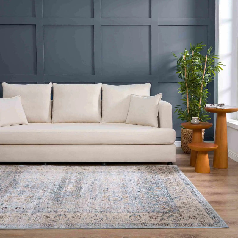 Anana Silver Blue & Beige Area Rug - Clearance by Boutique Rugs