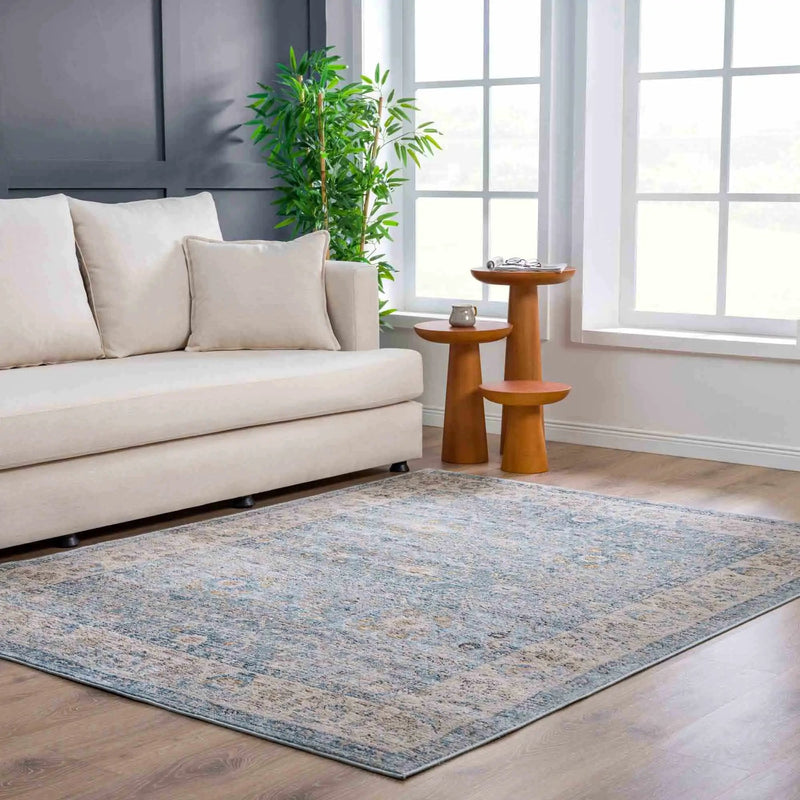 Anana Silver Blue & Beige Area Rug - Clearance by Boutique Rugs