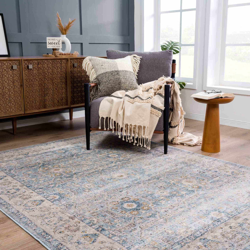 Anana Silver Blue & Beige Area Rug - Clearance by Boutique Rugs