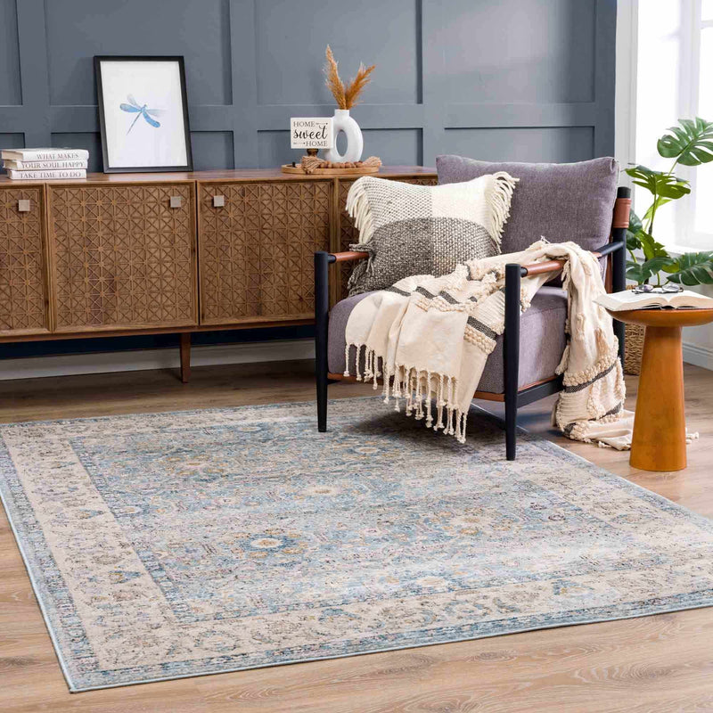 Anana Silver Blue & Beige Area Rug - Clearance by Boutique Rugs