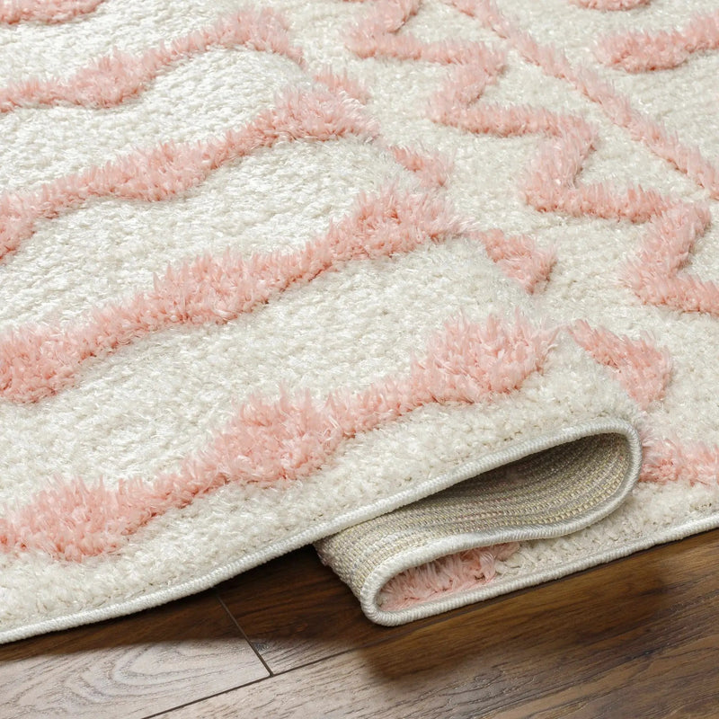 Darva Pink Plush Area Carpet by Boutique Rugs