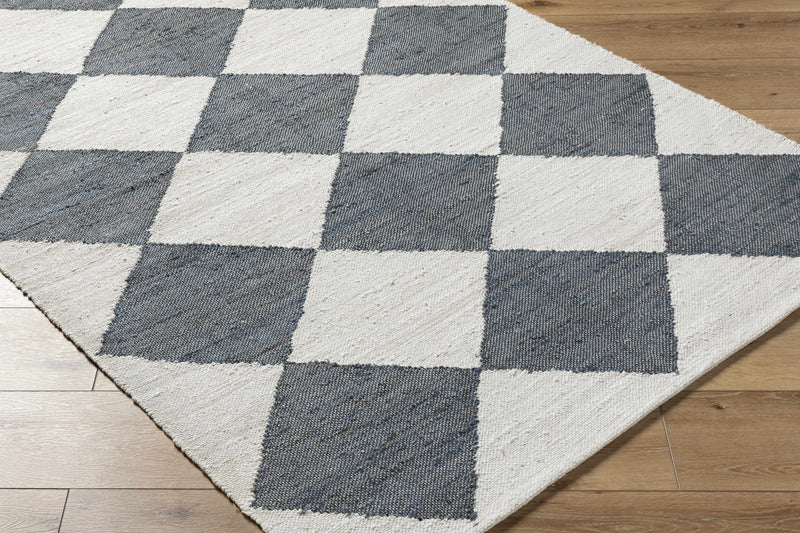 Andrin Gray Area Rug by Boutique Rugs