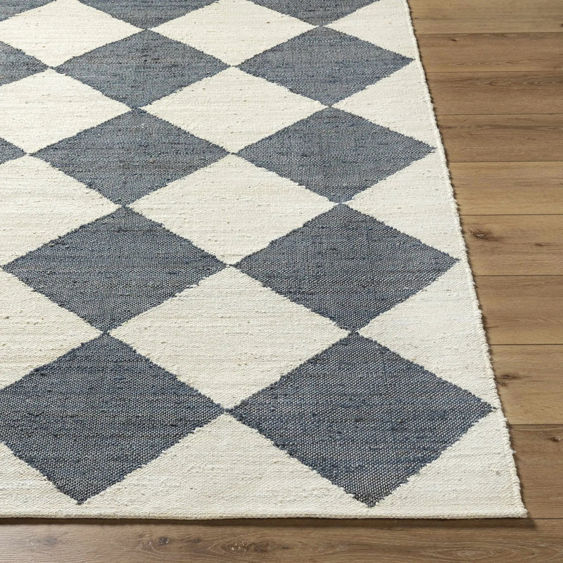 Andrin Gray Area Rug by Boutique Rugs