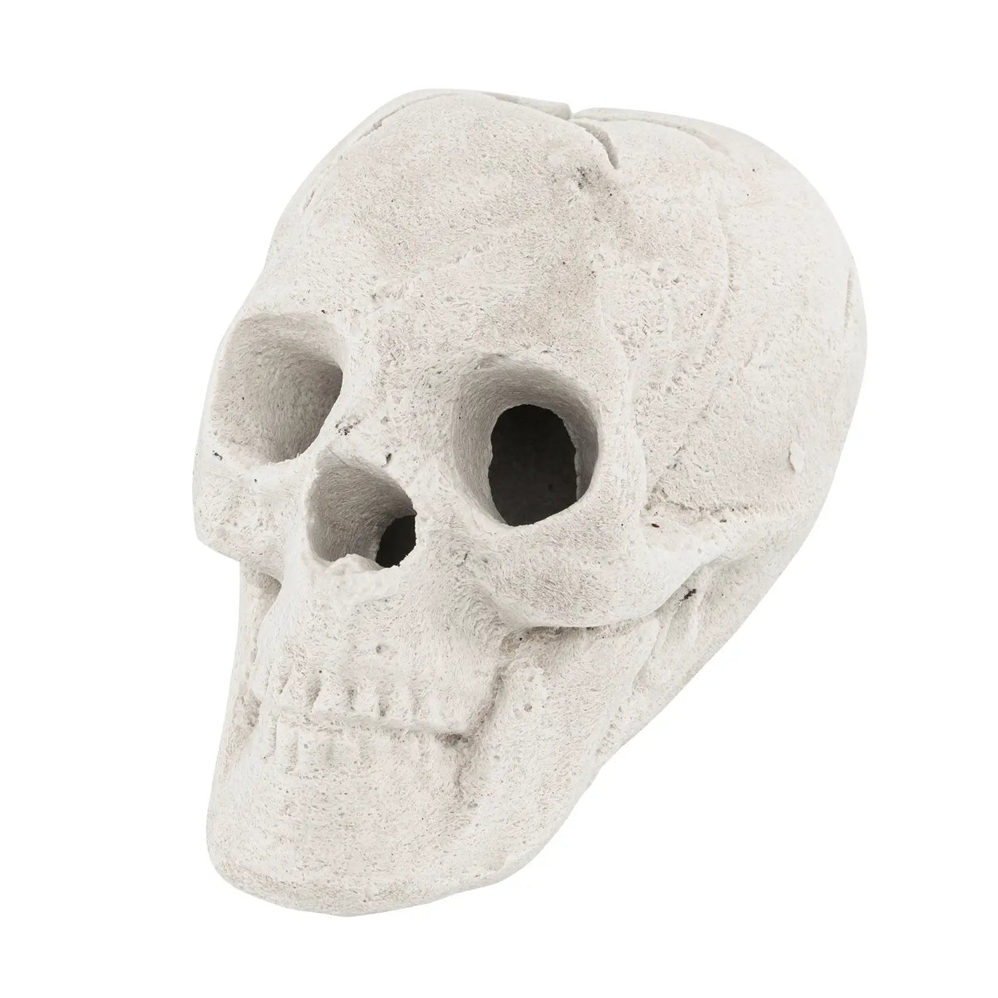 Halloween Fire Pit Skull Halloween Decoration by DirectDeals