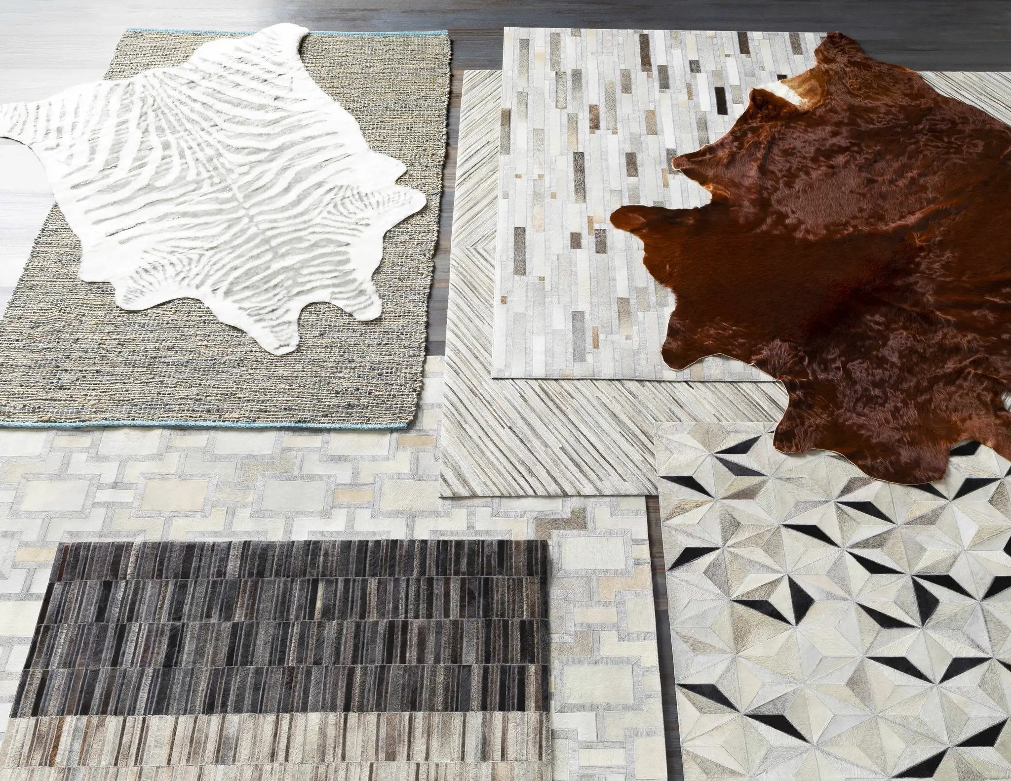 Wauzeka Premium Area Rug - Clearance by Boutique Rugs