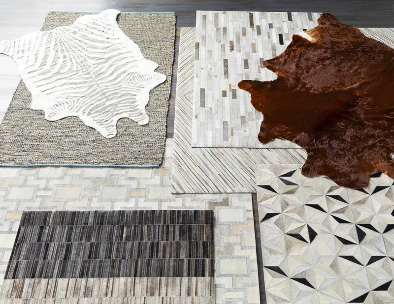 Wauzeka Premium Area Rug - Clearance by Boutique Rugs