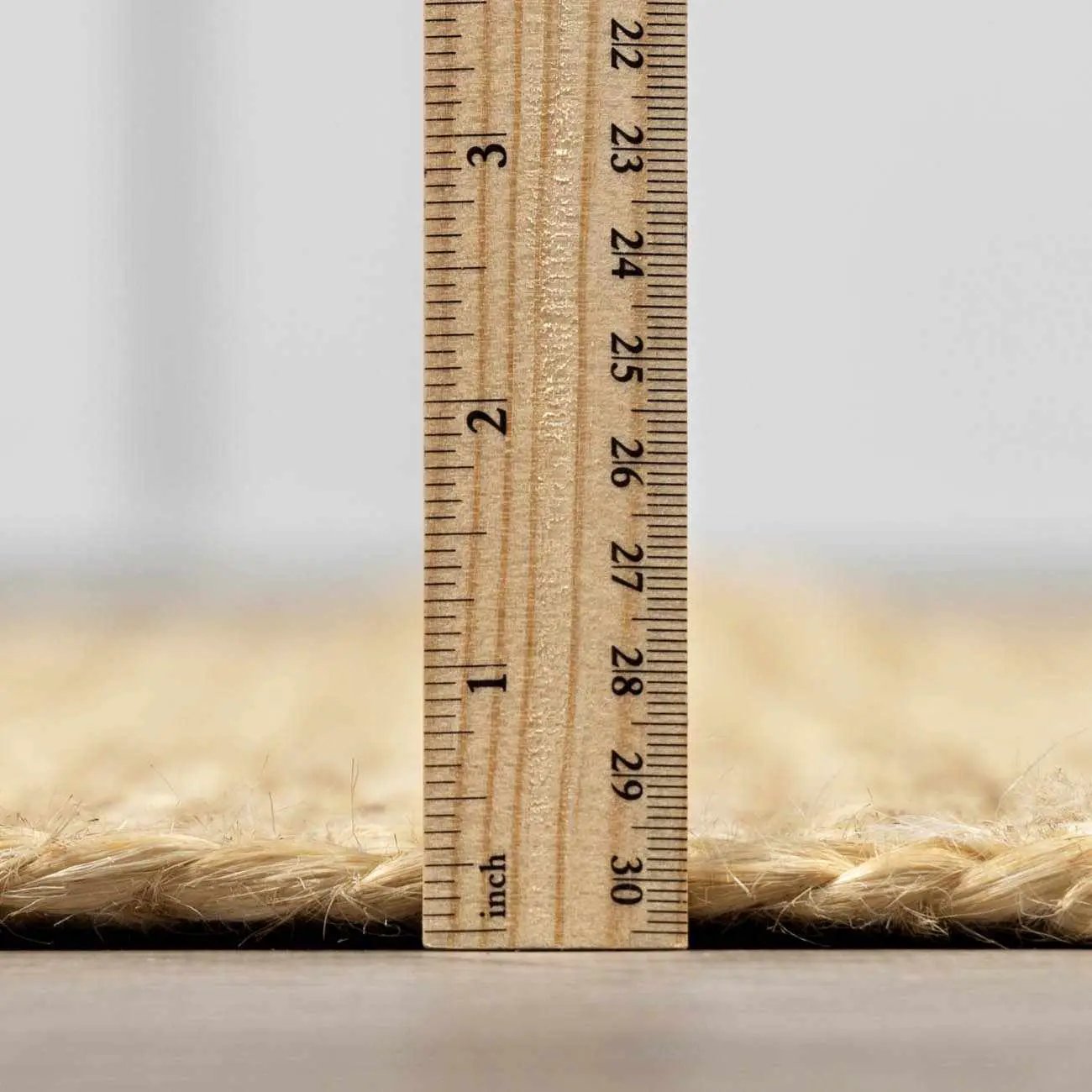 Tavor Beige Area Rug - Clearance by Boutique Rugs