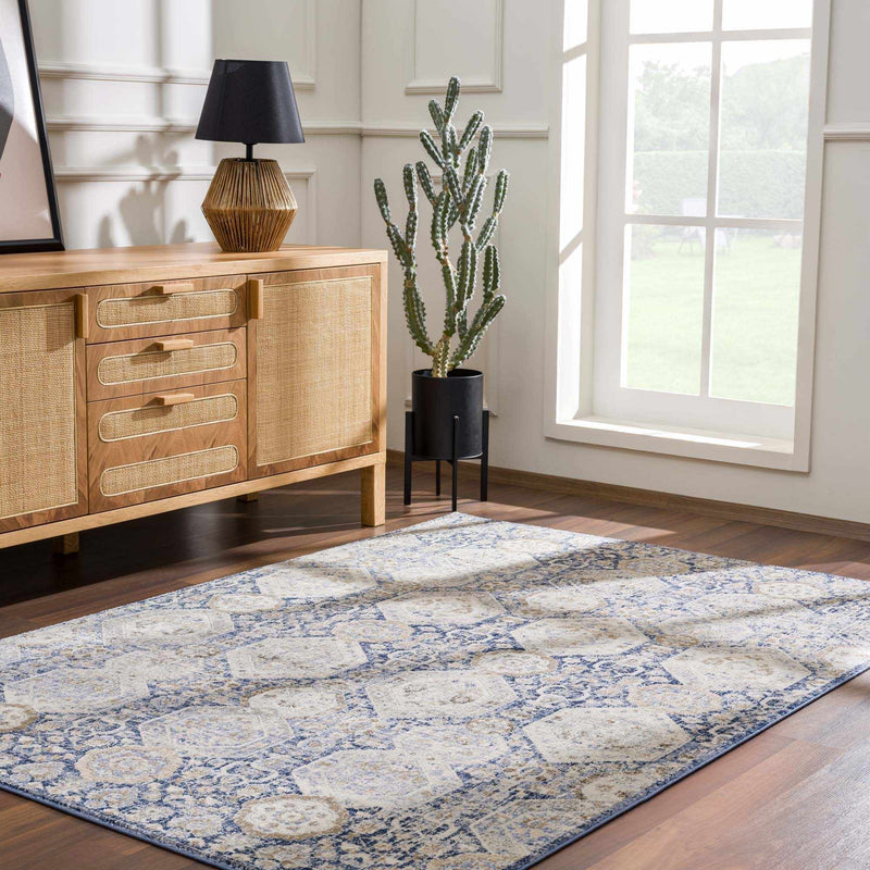 Parkerfield Blue Area Rug - Clearance by Boutique Rugs