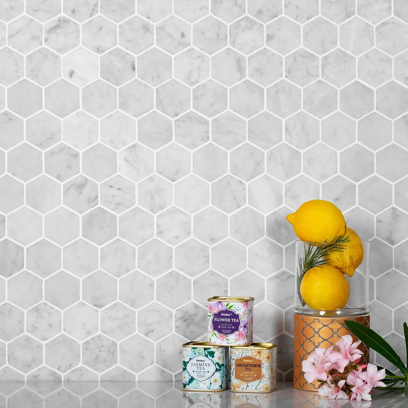 Powder White 12x12 Honed Hexagon Bianco Carrara Marble Mosaic Tile (5 pack, 4.83 sq ft/case) by Apollo Tile