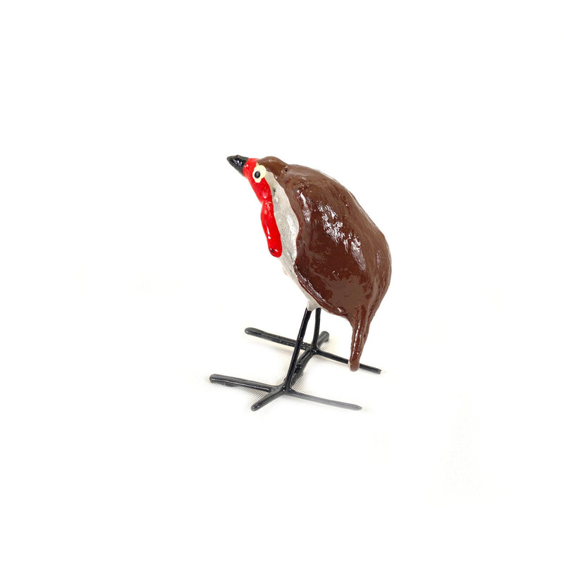 Seedpod Robin, photo 3 of 3