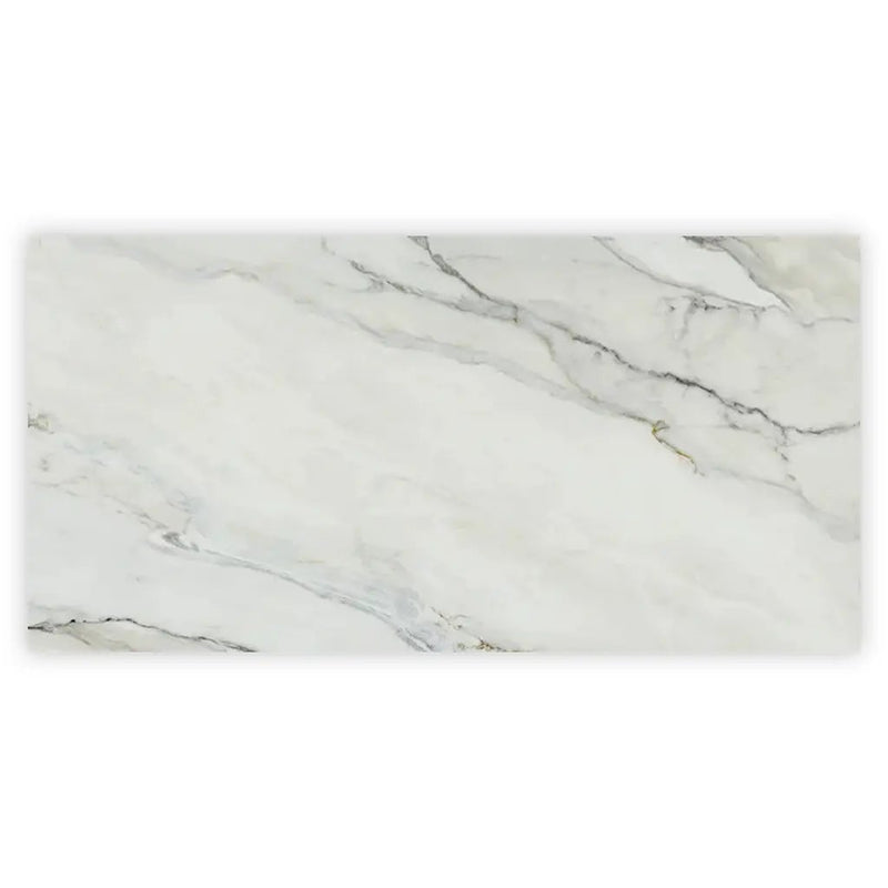 White with Gray Vein 24x48 Polished Porcelain Large Format Tile (2 pack, 15.42 sq ft/case) by Apollo Tile
